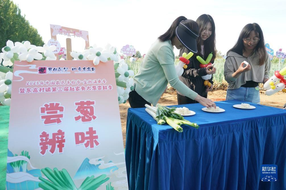 新澳门游戏网站入口